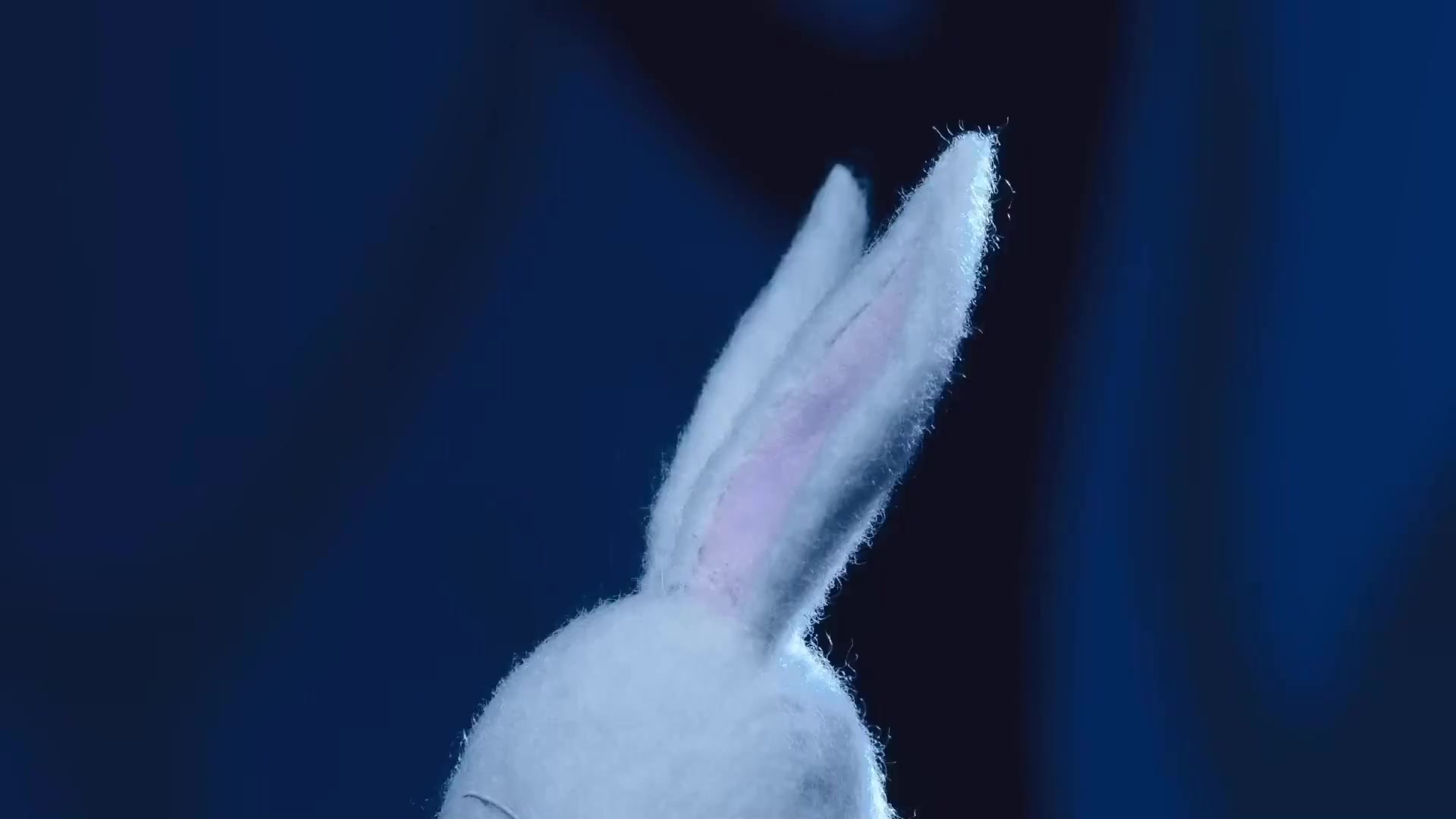 [Tsukyio Editing Resources] Beastars OP Precut_2-10x-RIFE-RIFE4.0-239.7602fps (tsukyioxyz).mp4